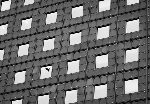 Monochrome